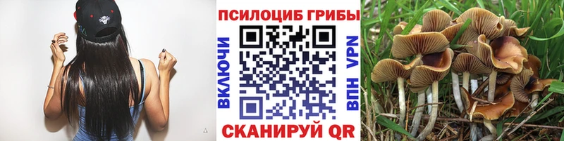 Псилоцибиновые грибы Psilocybe  ссылка на мегу онион  Кемь  купить  